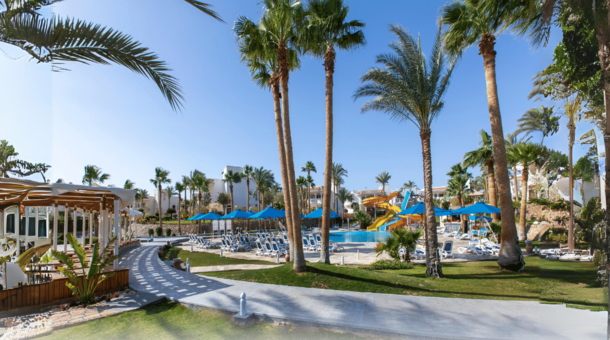 Hoteles Ofertas Dynamic Tours